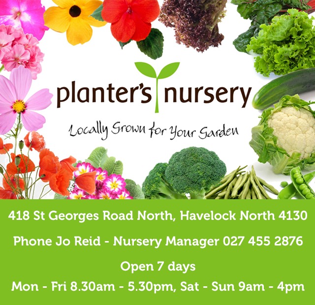 Planters Nursery - Parkvale School - Oct 23